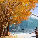 exterior of stegeman coliseum