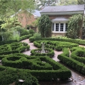 photo of English privet hedge garden, day