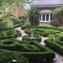 photo of boxwood maze, day