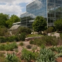 glass building surrounded by plants